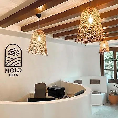 Molo